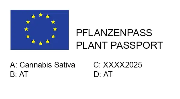 Hanfstecklinge Pflanzenpass Bubatzbuddy