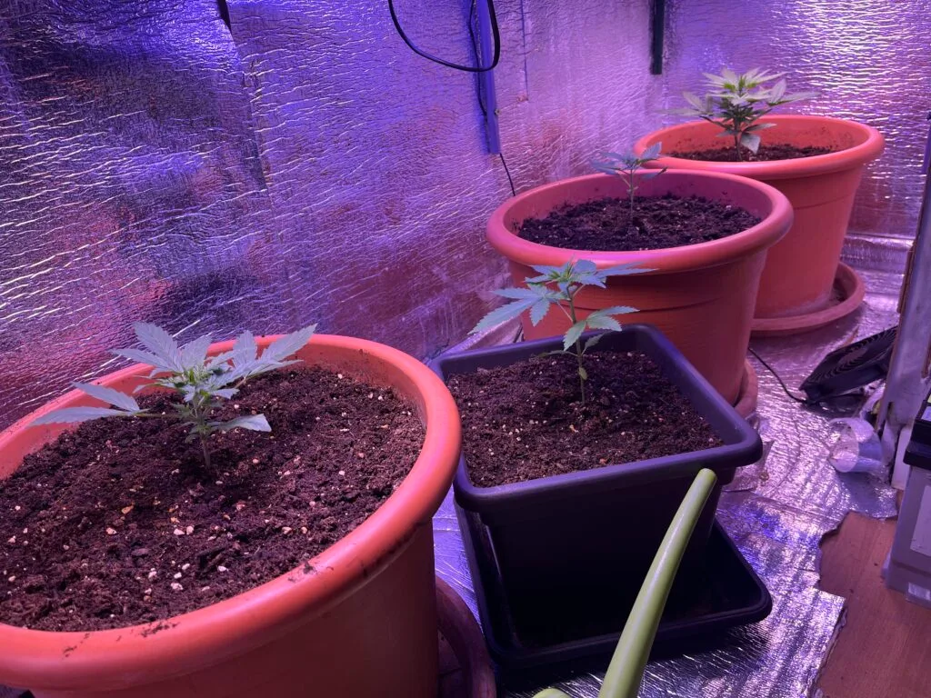 Bild #1 von Daniel Schäfer