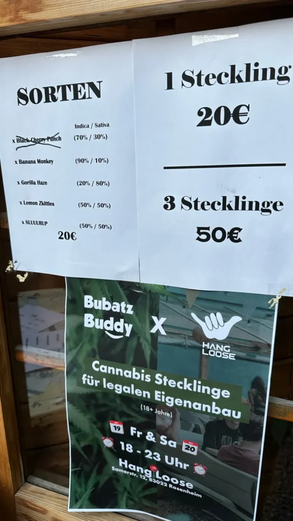 Sortenliste und Preise am BubatzBuddy Pop-up-Store, Plakat BubatzBuddy x Hang Loose